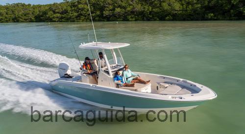 Boston Whaler 250 Dauntless scheda tecnica 